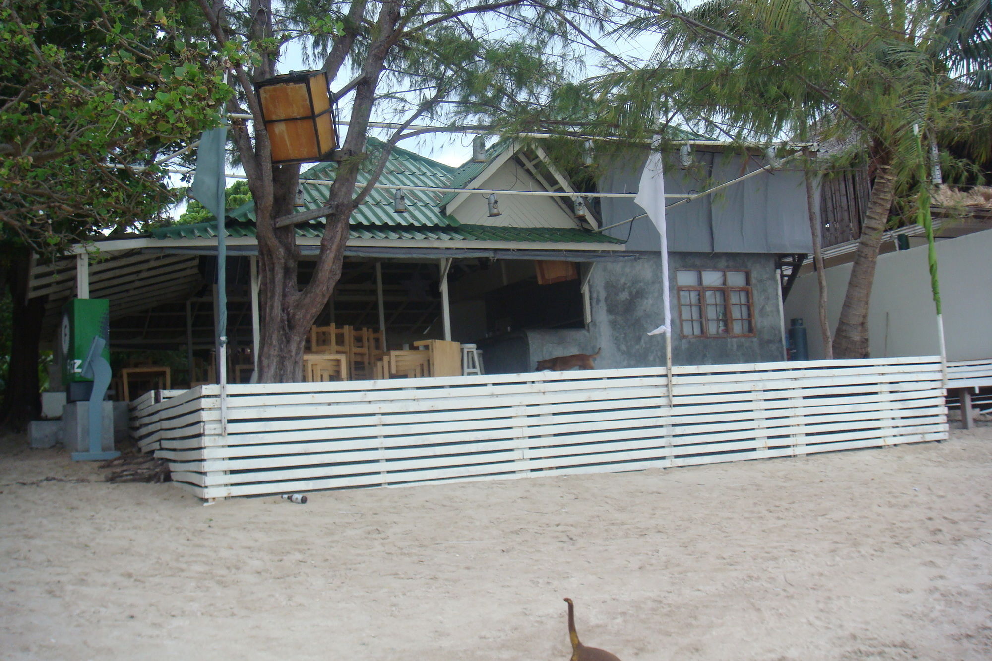 Silver Sands Beach Resort Koh Tao Eksteriør billede
